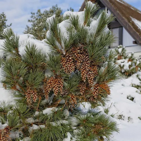 Tatil Evi Lotsenstieg 11 Karlshagen