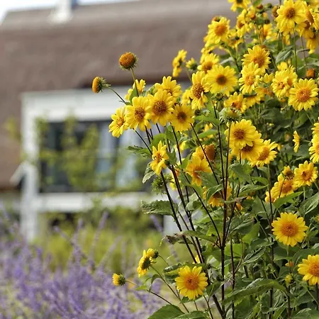 Lotsenstieg 11 Tatil Evi *